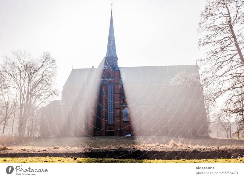 Münster in Bad Doberan Bad doberan deutschalland Deutschland Kirche Sehenswürdigkeit Wahrzeichen Stimmung Zufriedenheit friedlich Vorsicht Gelassenheit ruhig