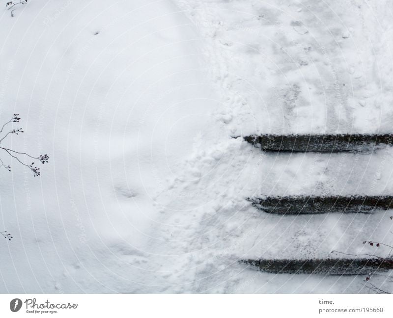 Berlin. Der Winter hat erneut die halbe Stadt lahm gelegt ... Schnee Treppe 3 Zweig Pflanze Sträucher Wintereinbruch parallel kalt ungemütlich Außenaufnahme