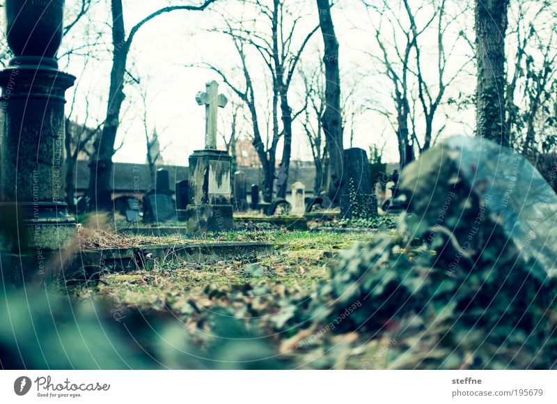 Wiederauferstehung Halle (Saale) Religion & Glaube Friedhof Auferstehung Grab Gruft Farbfoto Experiment Kreuz Christliches Kreuz Grabmal Grabstein Trauer