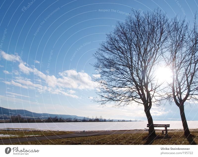 Aussichtbank unter Baumpaar mit Schneefeld im Gegenlicht Winter Natur Landschaft Erde Luft Wolken Sonnenlicht Schönes Wetter Feld Zusammenhalt paarweise 2 Bank