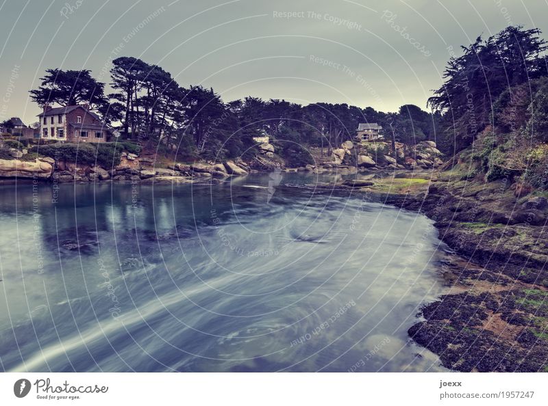 Flut Landschaft Wasser Küste Frankreich Haus blau braun grün Idylle Farbfoto Gedeckte Farben Außenaufnahme Tag Starke Tiefenschärfe Weitwinkel