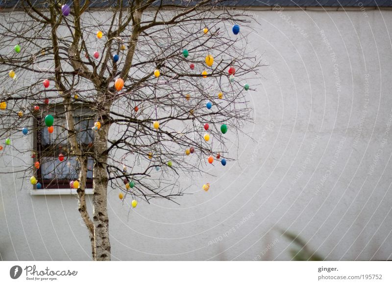 Ostergruß Dekoration & Verzierung Feste & Feiern Ostern Frühling Baum Haus Mauer Wand Fassade Fenster Glaube mehrfarbig Zweige u. Äste Gardine Birke