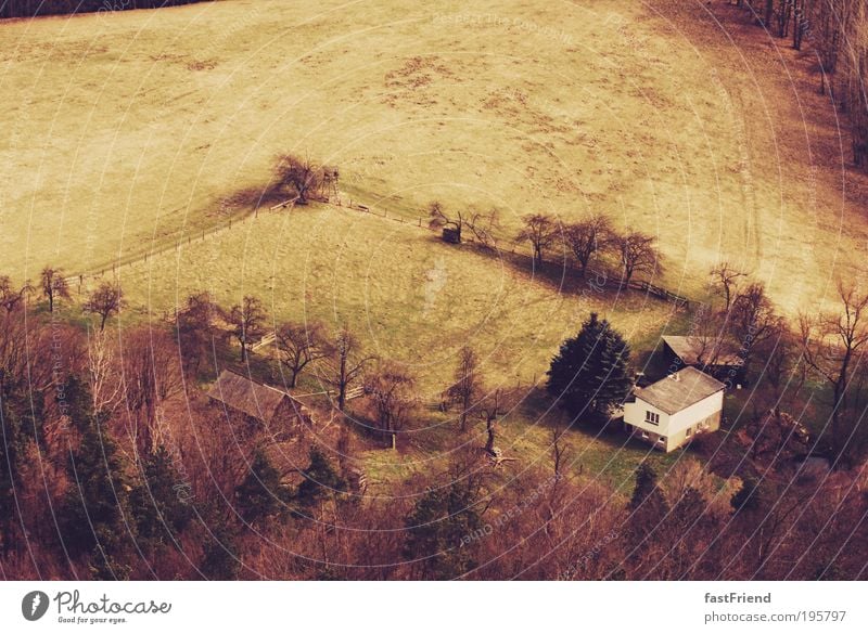 unsere kleine Farm Wiese Gras Gebäude Haus Bauernhof Wald Gegend Baum Landschaft