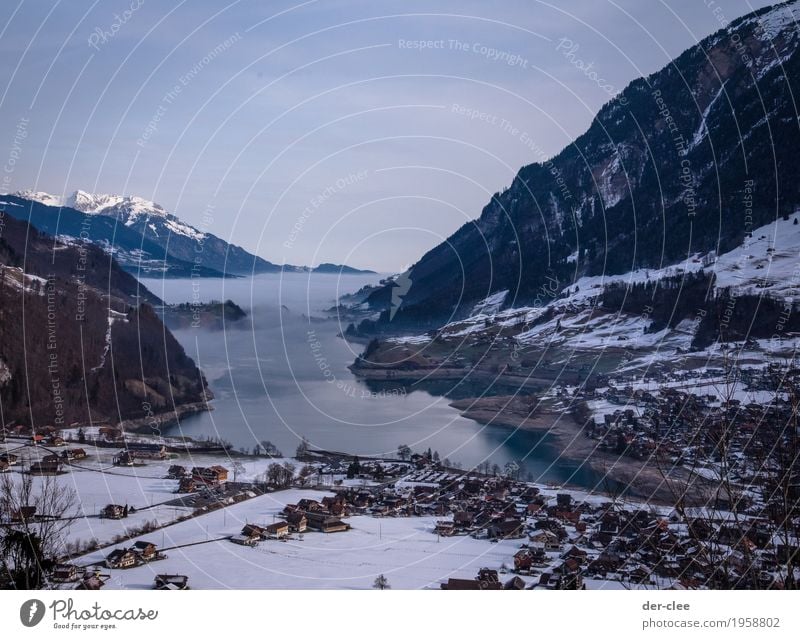 Bad im Nebel-See ruhig Umwelt Natur Landschaft Urelemente Erde Luft Wasser Himmel Winter Wetter Schönes Wetter Felsen Alpen Berge u. Gebirge Gipfel Seeufer