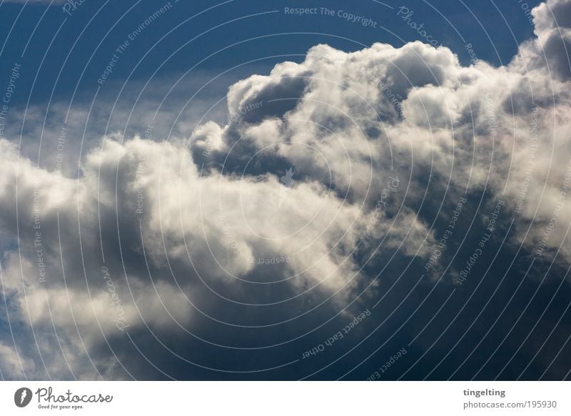 feeling free Umwelt Natur Urelemente Luft nur Himmel Wolken Wetter Schönes Wetter Blick leuchten Ferne gigantisch Unendlichkeit natürlich oben blau weiß