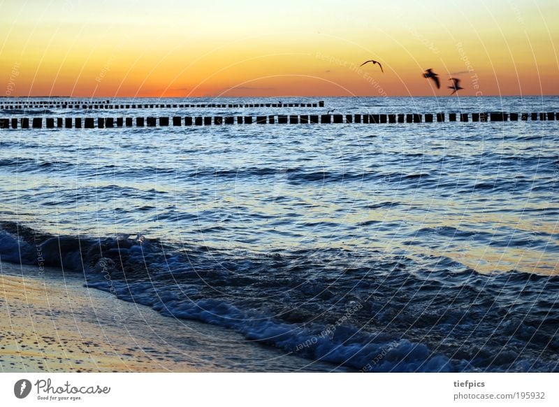 schöne ostsee Spa Ferien & Urlaub & Reisen Sommer Sonne Strand Meer Wellen Sand Wasser Sonnenaufgang Sonnenuntergang Schönes Wetter Küste Ostsee blau Klima sea