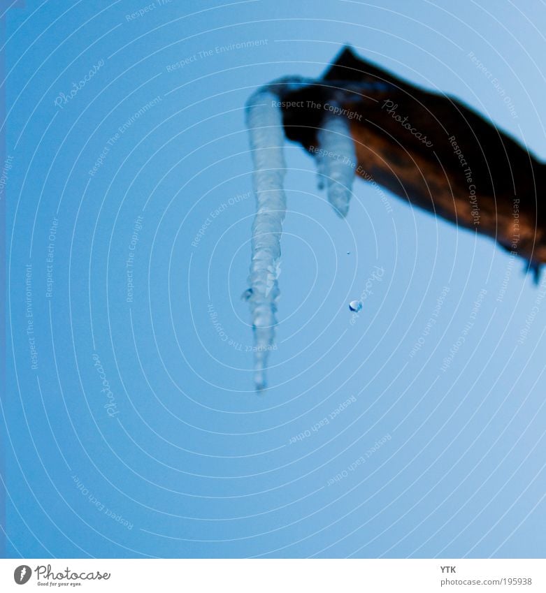 Drop it like it's hot! Umwelt Natur Urelemente Wasser Wassertropfen Frühling Klima Klimawandel Wetter Schönes Wetter Eis Frost Schnee fallen glänzend kalt nass