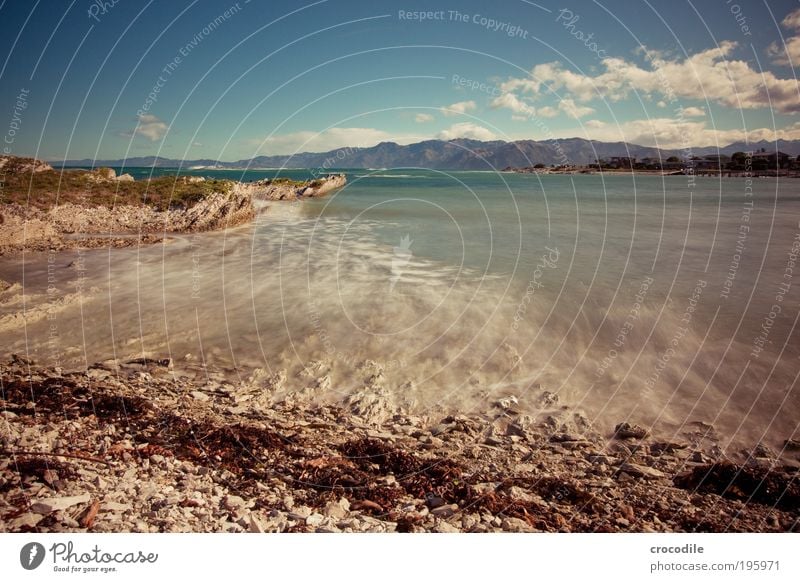 Kaikoura northern bay Umwelt Natur Felsen Alpen Berge u. Gebirge Wellen Küste Strand Bucht Meer Pazifik Bewegung ästhetisch außergewöhnlich Zufriedenheit