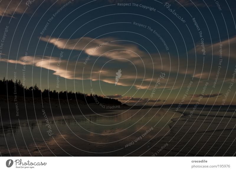 New Zealand I Umwelt Natur Landschaft Pflanze Tier Erde Sand Himmel Wolken Klima Wetter Schönes Wetter Hügel Wellen Küste Strand Gefühle Stimmung Einsamkeit