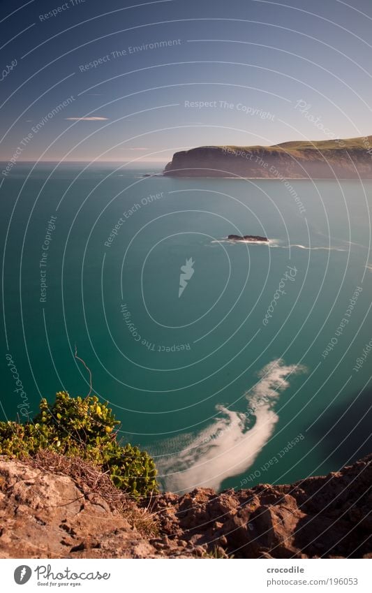 New Zealand XX Umwelt Natur Landschaft Urelemente Erde Sand Wasser Himmel Wolken Klima Schönes Wetter Pflanze Sträucher Hügel Felsen Wellen Küste Bucht Fjord