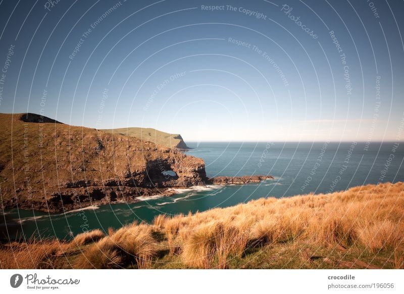 New Zealand XXII Umwelt Natur Landschaft Urelemente Erde Sand Wasser Himmel Wolken Horizont Klima Schönes Wetter Pflanze Gras Sträucher Wiese Feld Hügel Felsen