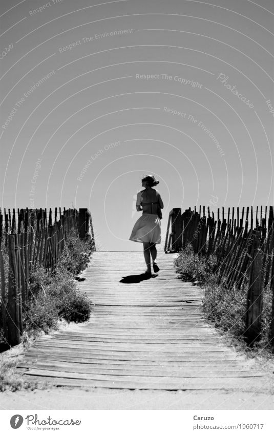 Ein Tag am Meer Mensch feminin Frau Erwachsene Schwester 1 18-30 Jahre Jugendliche Natur Landschaft Sand Wolkenloser Himmel Sonnenlicht Sommer Schönes Wetter