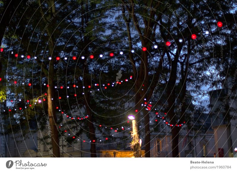 Let's have a party tonight Lifestyle Freizeit & Hobby Nachtleben ausgehen Feste & Feiern Veranstaltung Party Natur Frühling Schönes Wetter Baum Grünpflanze Park