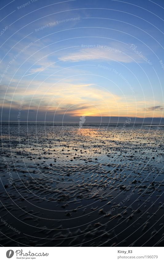 Sonnenuntergang auf dem Meeresgrund Natur Urelemente Wasser Himmel Sonnenaufgang Schönes Wetter Wattenmeer Nordsee Büsum außergewöhnlich fantastisch