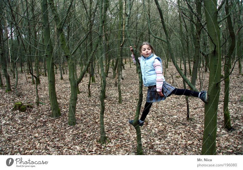 kletterkünstlerin Abenteuer wandern Kind Kindheit Natur Baum Wald Waldboden Klettern Spagat Weste frech Spielen Aktion Herbst strumpfhose festhalten Blatt Laub