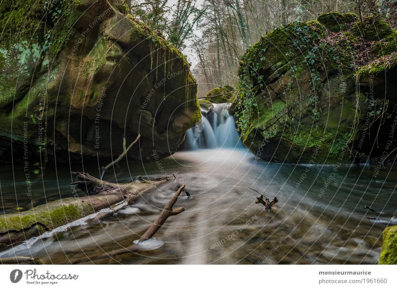 Kleiner Fall vor dem Schissentümpel im Müllertal Luxemburg Umwelt Natur Landschaft Pflanze Tier Urelemente Erde Wasser Schönes Wetter Baum Moos Grünpflanze