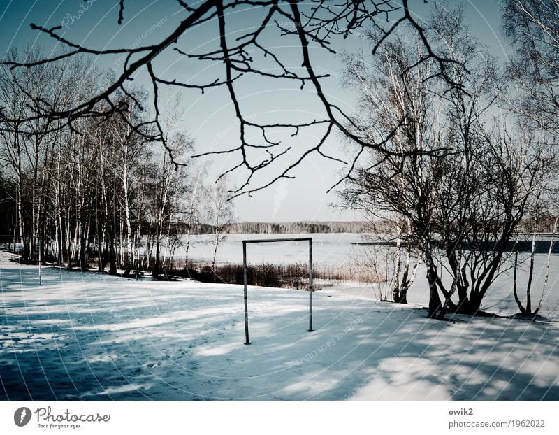 Torlos Umwelt Natur Landschaft Wolkenloser Himmel Horizont Winter Schönes Wetter Eis Frost Schnee Baum Sträucher See Holz stehen warten hell kalt trist geduldig