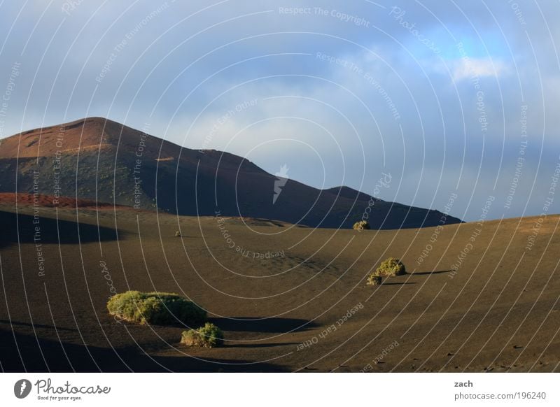 Feuerberge Ferien & Urlaub & Reisen Tourismus Ferne Sommer Berge u. Gebirge Umwelt Natur Landschaft Urelemente Erde Sand Himmel Schönes Wetter Sträucher Kaktus