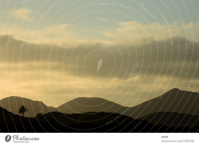 Palmsonntag am Vulkan Ferien & Urlaub & Reisen Ferne Sommerurlaub Sonne Berge u. Gebirge Umwelt Natur Landschaft Himmel Sonnenaufgang Sonnenuntergang