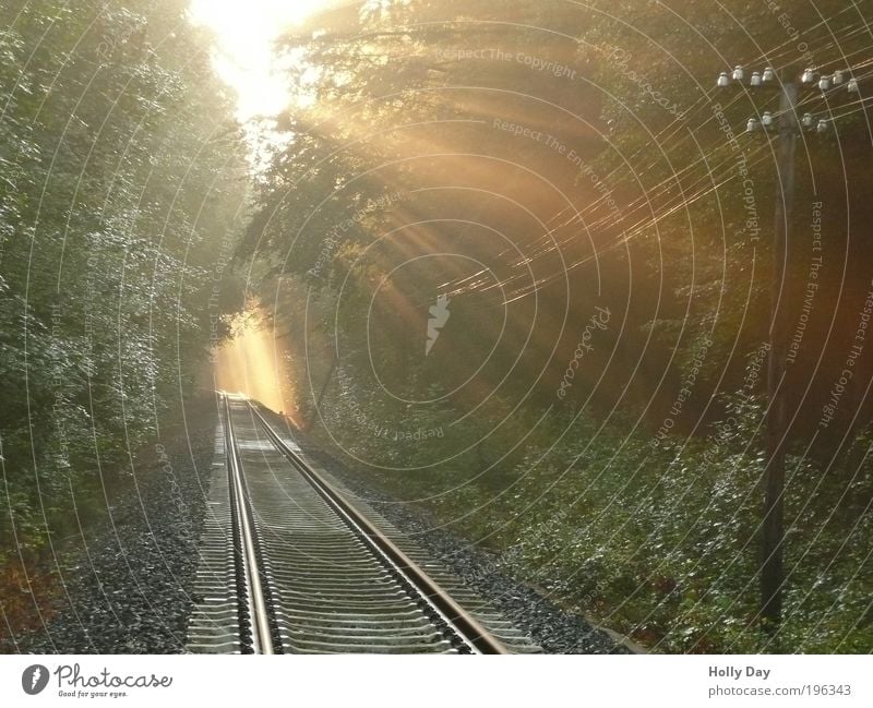 Breakthru Güterverkehr & Logistik Strommast Natur Luft Sonne Sonnenaufgang Sonnenuntergang Sonnenlicht Sommer Nebel Baum Wald Verkehr Verkehrswege