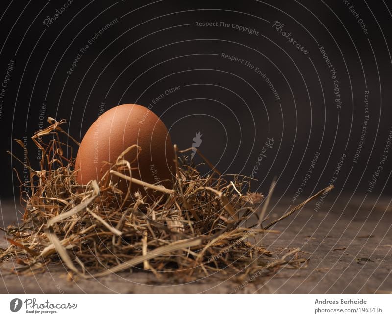 Hühnerei im Strohnest Lebensmittel Bioprodukte Ostern Natur springen Hintergrundbild bird breakfast brown chicken close colorful diet easter eating food fresh