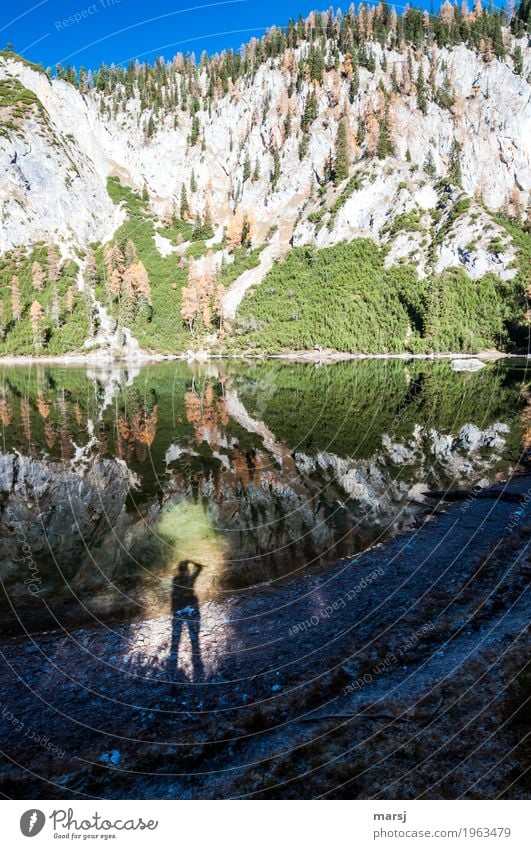 Der Spiegelungsfotograf Ferien & Urlaub & Reisen Ausflug Berge u. Gebirge Mensch 1 Natur Wasser Herbst Schönes Wetter Baum Felsen Alpen See Ahornsee Gebirgssee