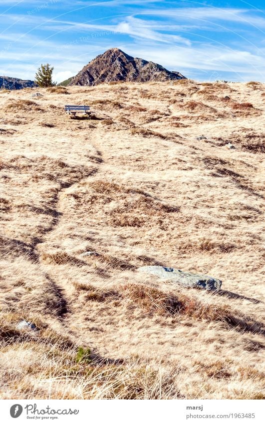 Noch einmal rasten! Ferien & Urlaub & Reisen Tourismus Ausflug Berge u. Gebirge wandern Herbst Wiese Felsen Alpen Schober Gipfel trocken braun Fernweh