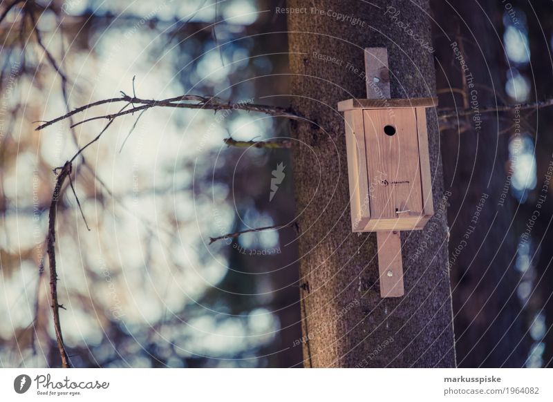 vogelhäuschen Freizeit & Hobby Häusliches Leben Wohnung Garten Umwelt Natur Landschaft Herbst Pflanze Baum Park Wiese Tier Flügel Vögel füttern Vogel Vogelflug