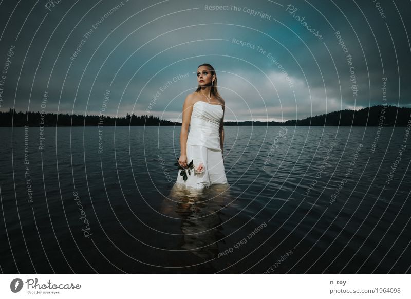 Scheidungsfoto - Sad Bride Hochzeit feminin Junge Frau Jugendliche 1 Mensch 18-30 Jahre Erwachsene Wolken Herbst Wald Alpen See Brautkleid blond Liebe