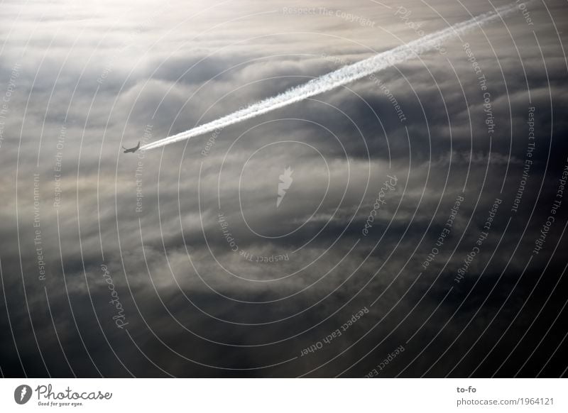 Über den Wolken... Luftverkehr Flugzeug Passagierflugzeug fliegen Geschwindigkeit Himmel Geschwindigkeitsrausch Kondensstreifen Gedeckte Farben Außenaufnahme