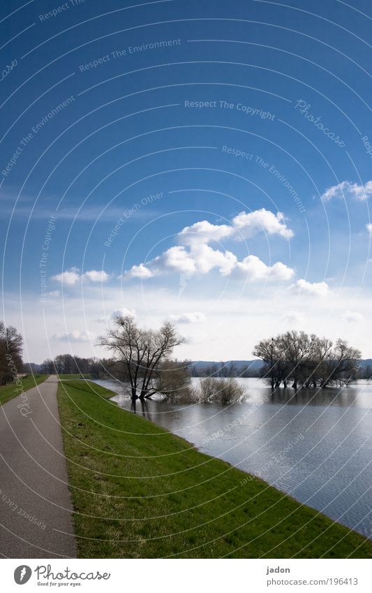 Flusslandschaft II Tourismus Umwelt Natur Landschaft Wasser Frühling Schönes Wetter Baum Unendlichkeit blau Sicherheit Deich Hochwasser Himmel Wolken