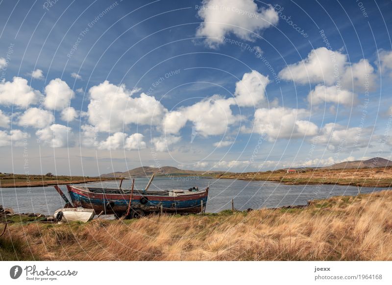 Großer Bruder Natur Landschaft Pflanze Himmel Wolken Schönes Wetter Wiese Insel Republik Irland Fischerboot Ruderboot liegen alt blau braun weiß Horizont Idylle