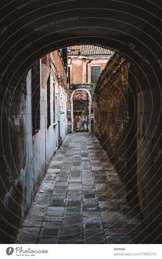 There is no such thing as straight ahead. ruhig Ferien & Urlaub & Reisen Tourismus Abenteuer Sightseeing Städtereise Venedig Italien Stadt Stadtzentrum Altstadt