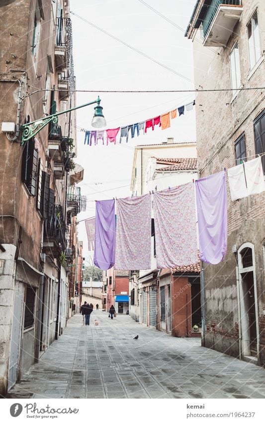 Waschtag - lila und bunt harmonisch ruhig Häusliches Leben Mensch Venedig Italien Stadt Stadtzentrum Altstadt Haus Einfamilienhaus Fassade Fenster Tür