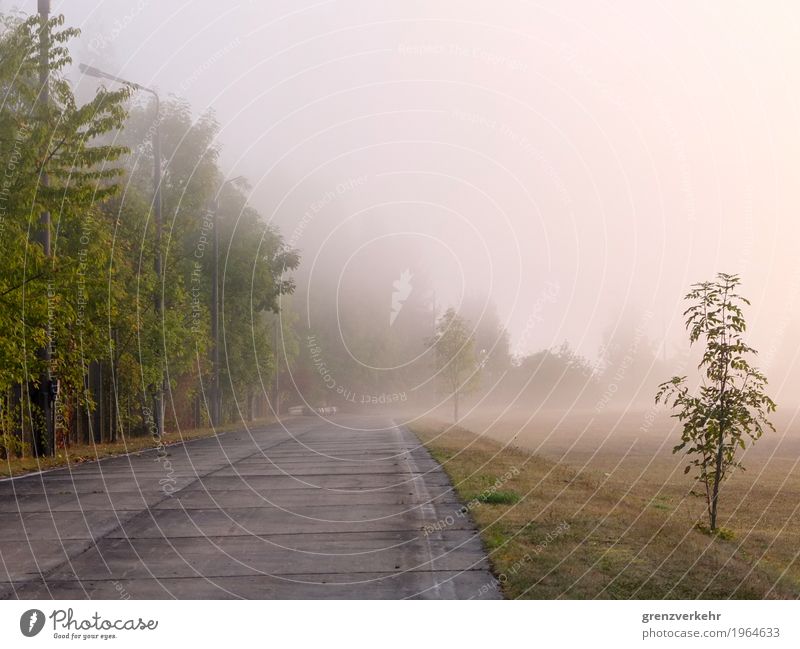 Grenznebel Nebel Verkehrswege Personenverkehr Autofahren Straße alt Grenzübergang Grenze Eisenach Nebelschleier Nebelbank Grenzanlage Autobahnraststätte