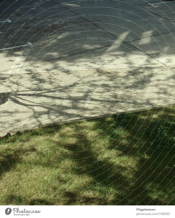 Schattenspiele Freizeit & Hobby Ferien & Urlaub & Reisen Ausflug Mauer Wand Arbeit & Erwerbstätigkeit atmen Frühlingsgefühle Vorfreude Frieden parken Parkplatz