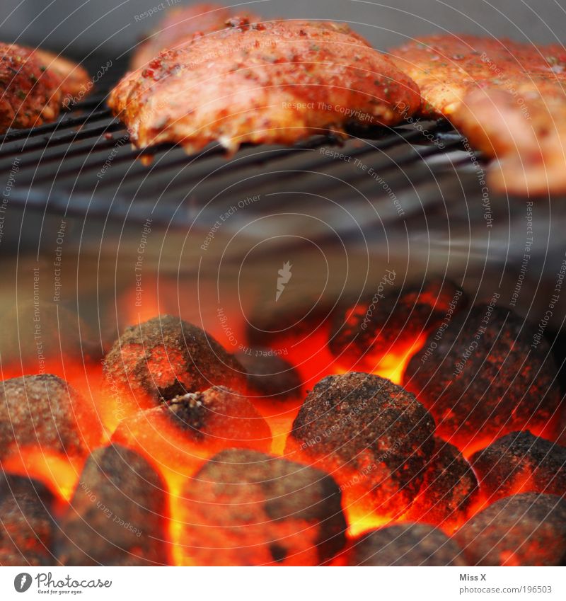 letztes Grillbild Lebensmittel Fleisch Ernährung Bioprodukte heiß glühen Grillen Grillkohle Steak Fett Farbfoto mehrfarbig Außenaufnahme Strukturen & Formen