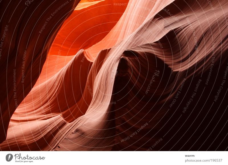 Steinwellen Umwelt Natur Landschaft Erde Schlucht Antelope Canyon Zufriedenheit Gelassenheit ruhig Fernweh Farbfoto Außenaufnahme Menschenleer Tag Schatten