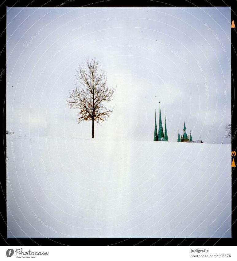 Erfurt Umwelt Natur Landschaft Klima Schnee Baum Park Hügel Stadt Menschenleer Kirche Dom Gebäude Architektur Dach Sehenswürdigkeit Wachstum Einsamkeit