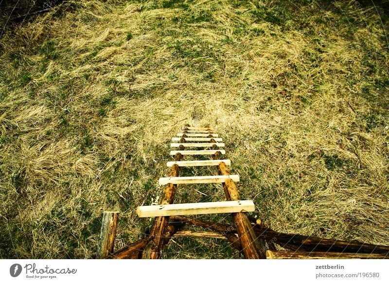 Hochstand Natur April Erholung Garten Park Waldspaziergang Anstand Hochsitz Jäger jagdstand Jagd Leiter Leitersprosse hoch tief aufsteigen Abstieg Gras Wiese