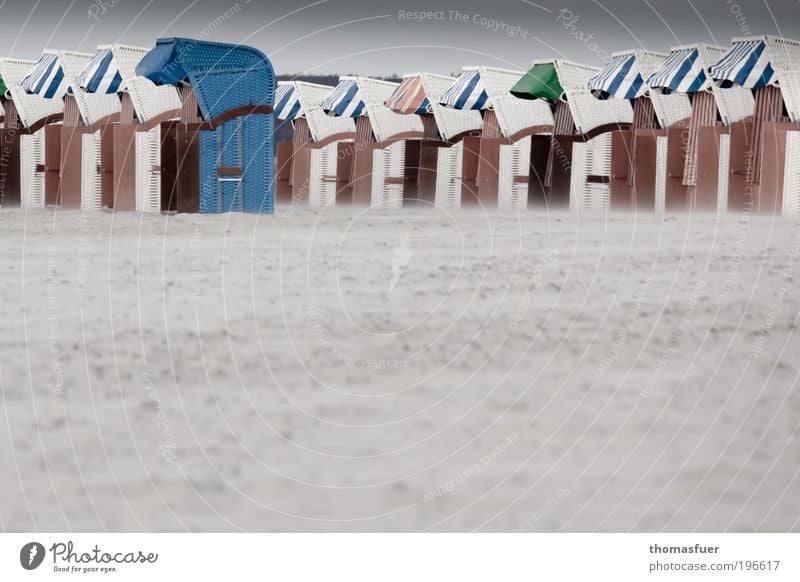 Aussenseiter Ferien & Urlaub & Reisen Tourismus Sommerurlaub Strand Meer Insel schlechtes Wetter Wind Sturm Küste Nordsee Ostsee Strandkorb Enttäuschung