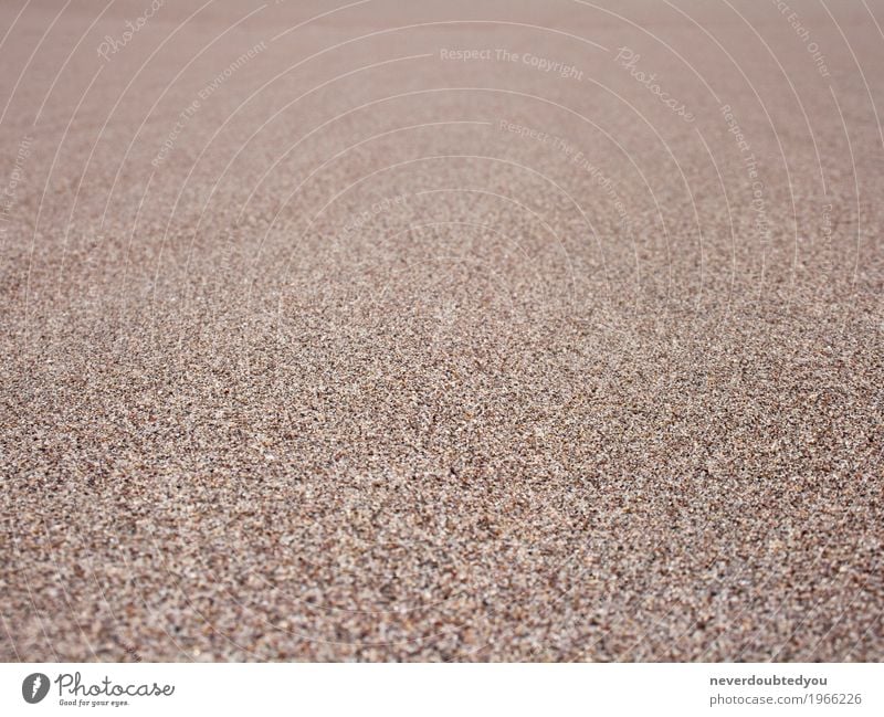 Strukturierter Hintergrund Sand Sommer Strand Umwelt Natur Urelemente Erde Wüste braun wüst Düne Farbfoto Außenaufnahme Nahaufnahme Detailaufnahme Makroaufnahme