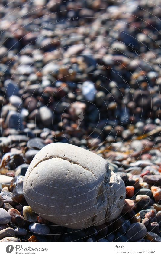 Verwechslung. Glück Ferien & Urlaub & Reisen Ferne Sommer Sonne Umwelt Natur Schönes Wetter Küste Strand Ostsee Meer Stein Wasser atmen beobachten Erholung