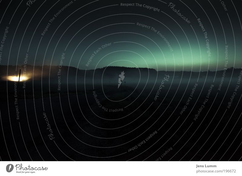 The Fog Halloween Landschaft Himmel Horizont Herbst Nebel ästhetisch dunkel gruselig blau gold grün Tod Angst Volksglaube Fernlicht Lichtkegel PKW Bodennebel