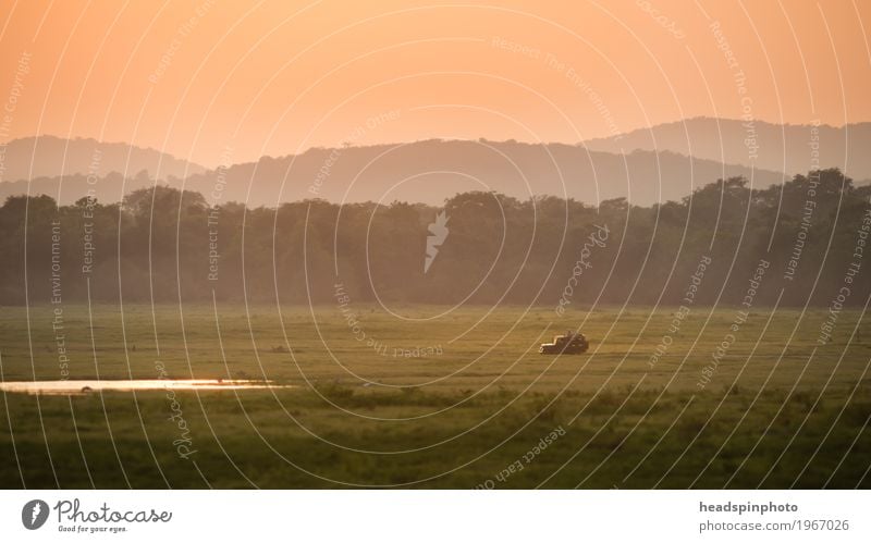 Jeep bei Sonnenuntergang im National Park, Sri Lanka Jagd Ferien & Urlaub & Reisen Tourismus Abenteuer Safari Wiese Urwald Fahrzeug Geländewagen beobachten