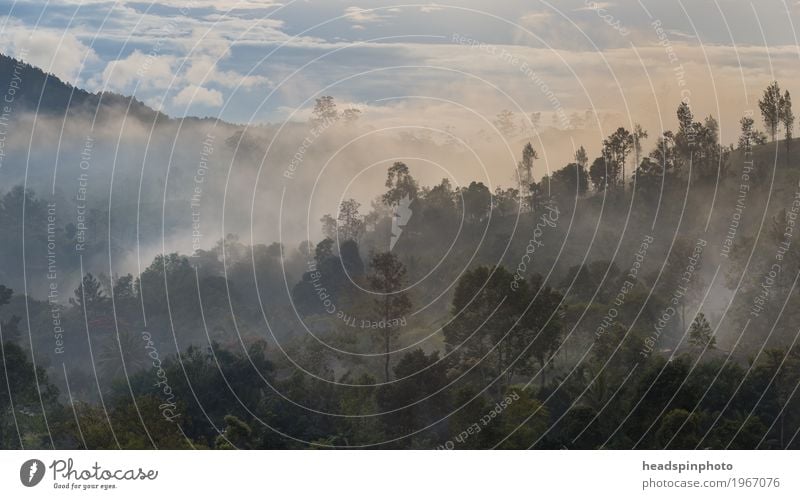 Morgendämmerung bei Nuwara Eliya, Si Lanka Ferien & Urlaub & Reisen Tourismus Ausflug Abenteuer Ferne Freiheit Sightseeing Safari Expedition Natur Landschaft