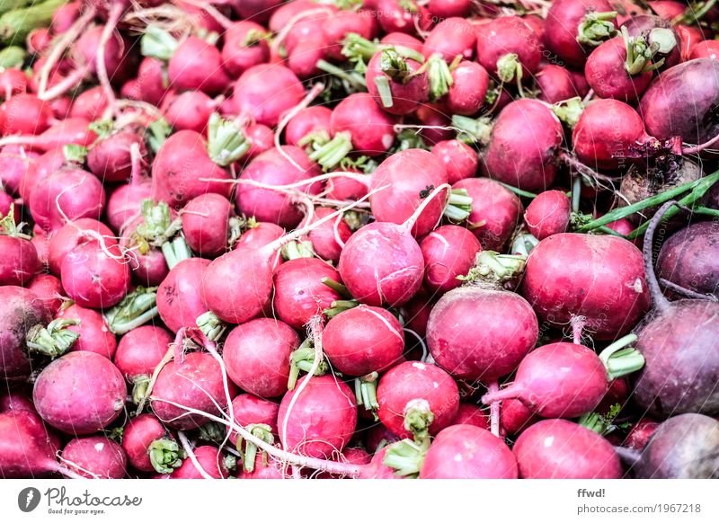 Radieschen Lebensmittel Gemüse Ernährung Bioprodukte Vegetarische Ernährung natürlich rund rot rein Qualität frisch Markt Marktstand Farbfoto Außenaufnahme