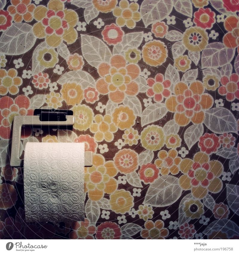 retro. Toilettenpapier Klopapierhalter Tapete Tapetenmuster Sechziger Jahre mehrfarbig Wand Vergangenheit Bad psychedelisch Spießer defäkieren Innenarchitektur