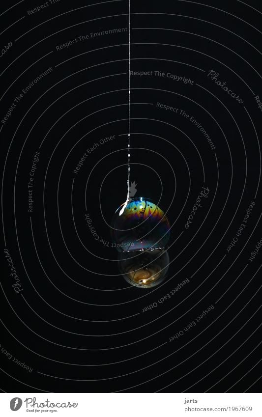 bubbles IV Spielen Wasser hängen fantastisch nass rund Kreativität Seifenblase Nähgarn Schweben regenbogenfarben Farbfoto Innenaufnahme Studioaufnahme