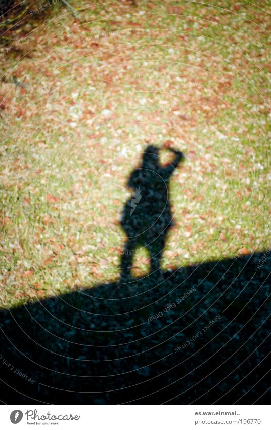 down there up here. Zufriedenheit Garten Park Wiese stehen Schattenspiel Außenaufnahme Textfreiraum oben Textfreiraum unten Licht Unschärfe